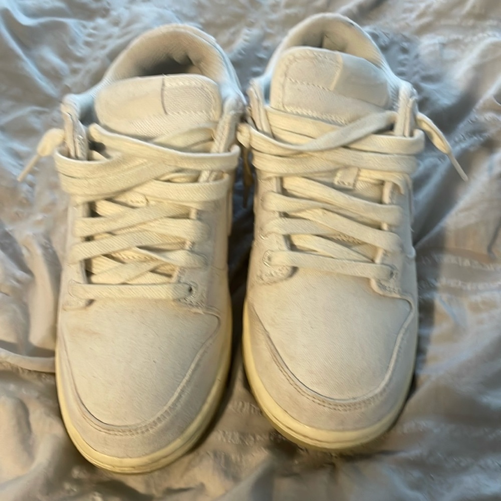 Nike dunks (Equal)
